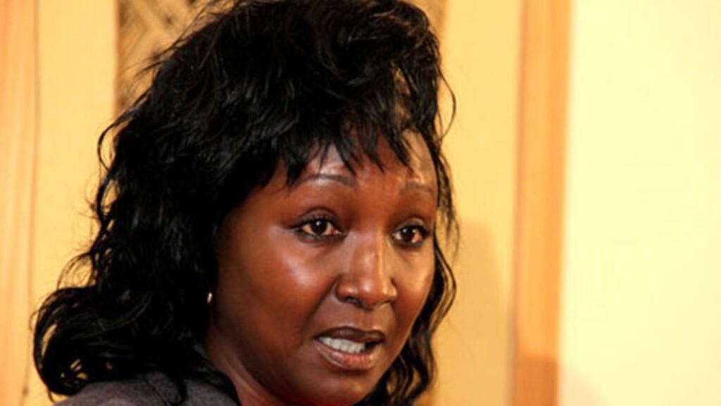 Corruption Witch Hunt After Deputy Speaker Boss Sholei